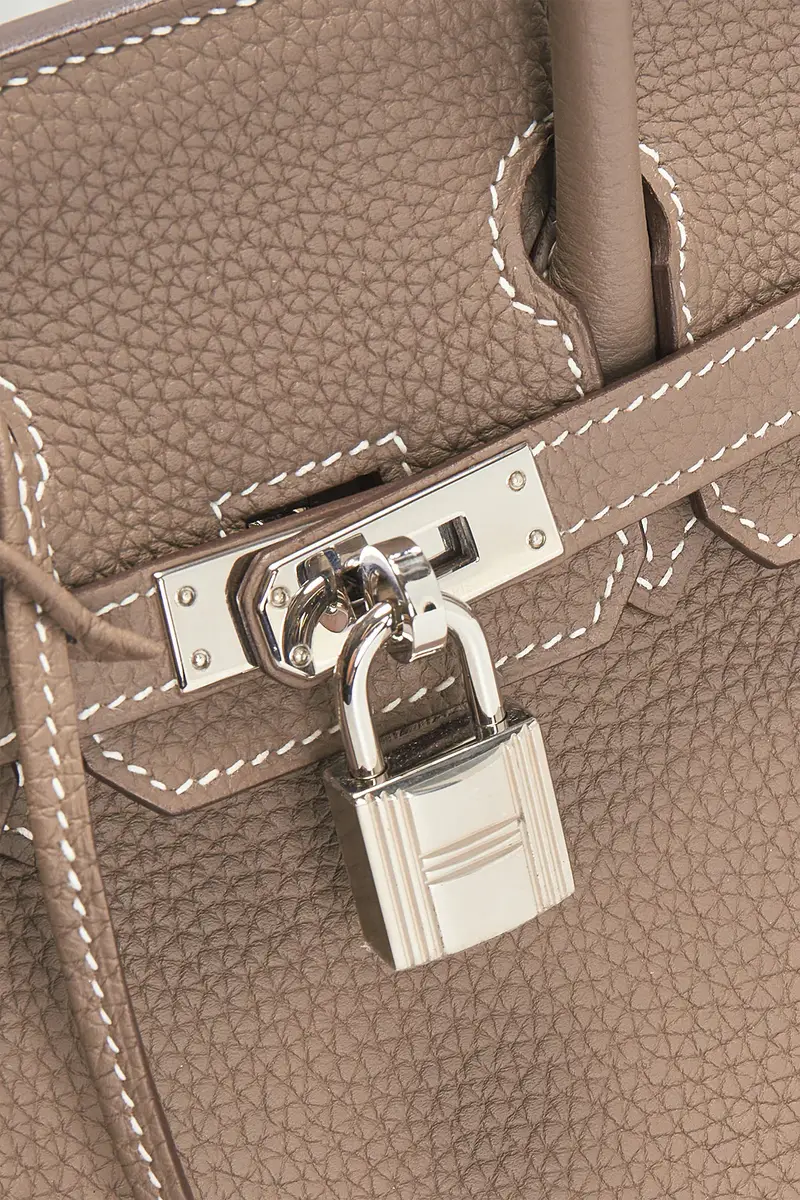 HERMÈS Hermes Togo Birkin 25 Handbag | Thumbnail 5 HERMÈS Hermes Togo Birkin 25 Handbag | Thumbnail 5