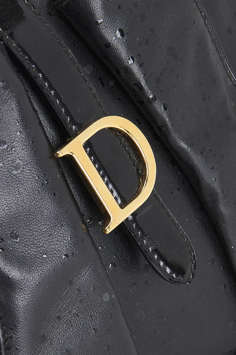 Dior Dior Mini Double Saddle Bowler Bag | Thumbnail 5 Dior Dior Mini Double Saddle Bowler Bag | Thumbnail 5