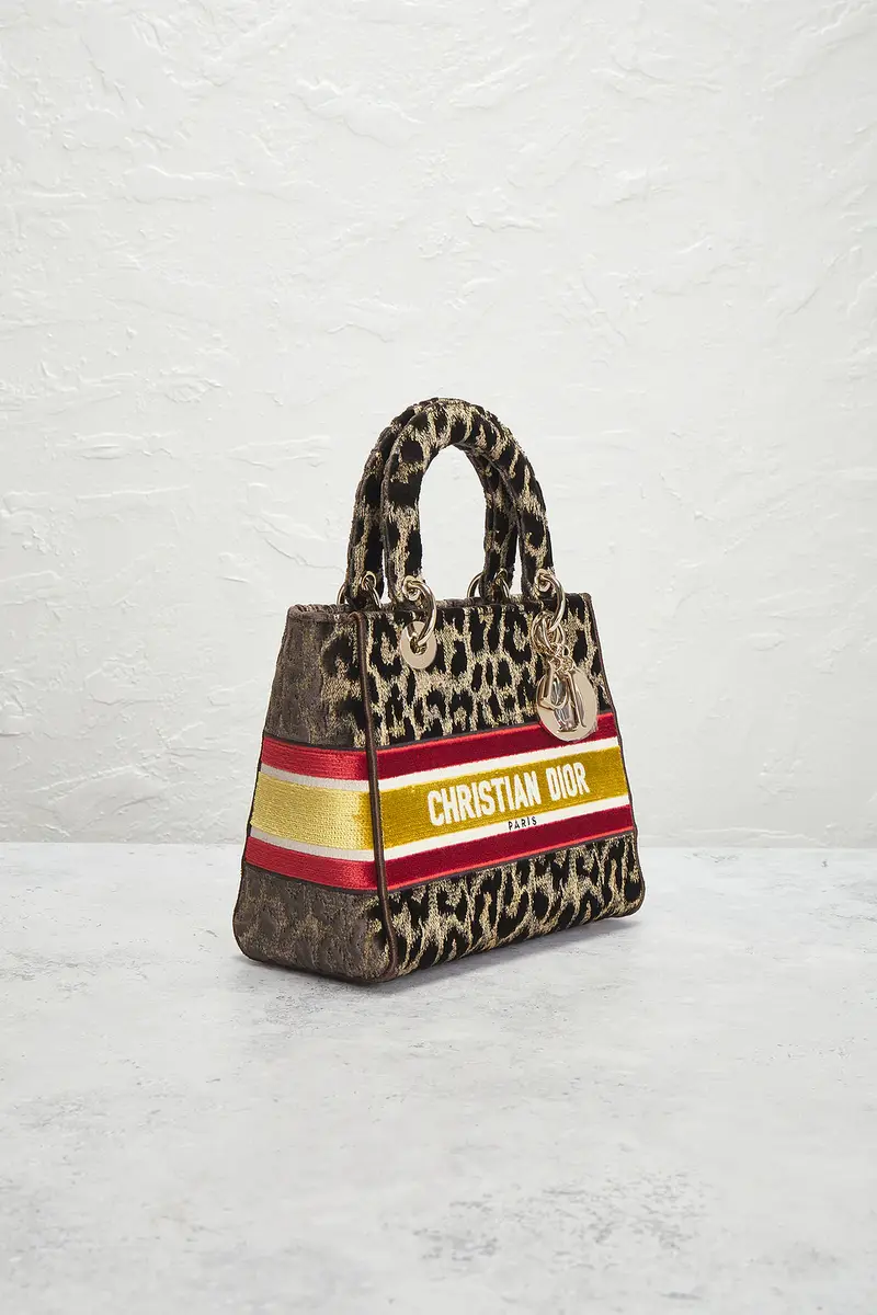 Dior Dior Leopard Lady D-Lite Handbag | Thumbnail 4 Dior Dior Leopard Lady D-Lite Handbag | Thumbnail 4