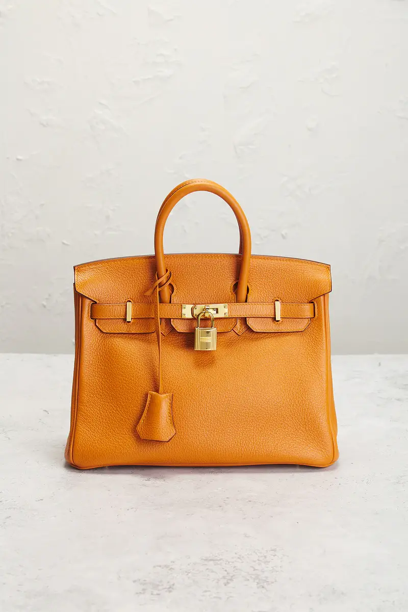 HERMÈS Hermes Togo Birkin 25 Handbag | Thumbnail 2