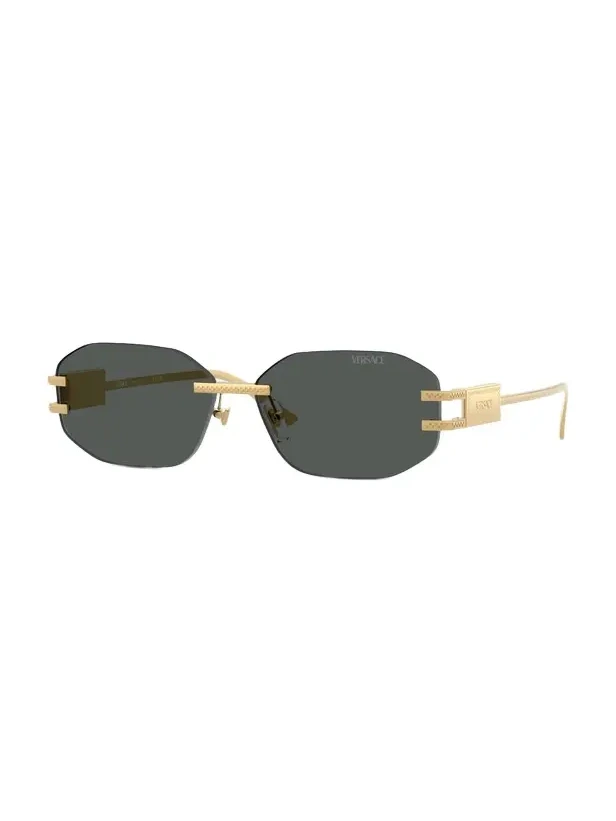 Damier Plaque Sunglasses Damier Plaque Sunglasses
