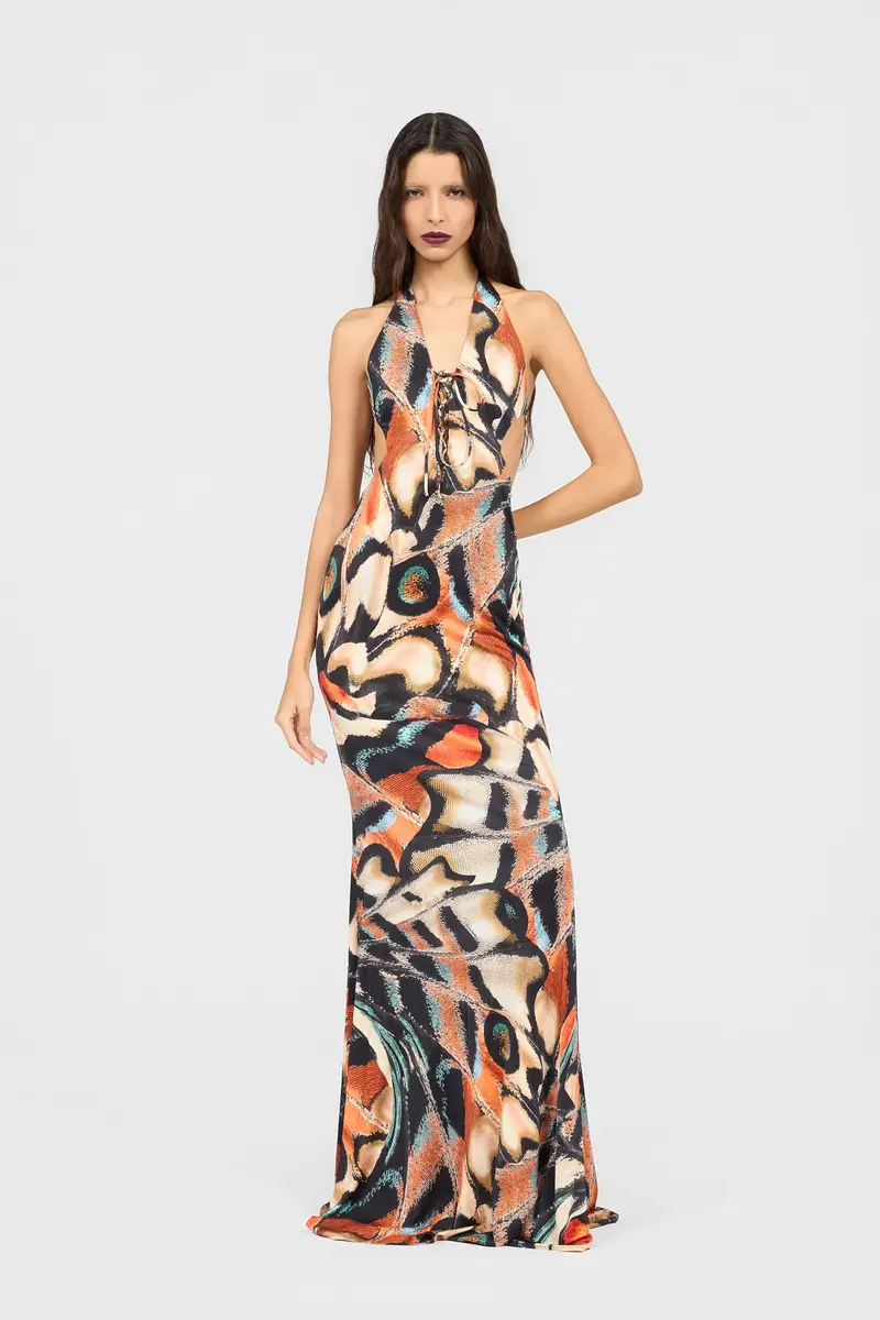 Roberto Cavalli Butterfly Print Dress | Thumbnail 2