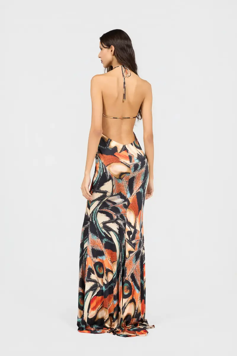 Roberto Cavalli Butterfly Print Dress | Thumbnail 3