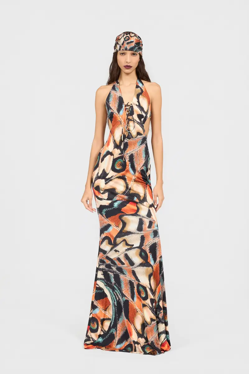 Roberto Cavalli Butterfly Print Dress | Thumbnail 6