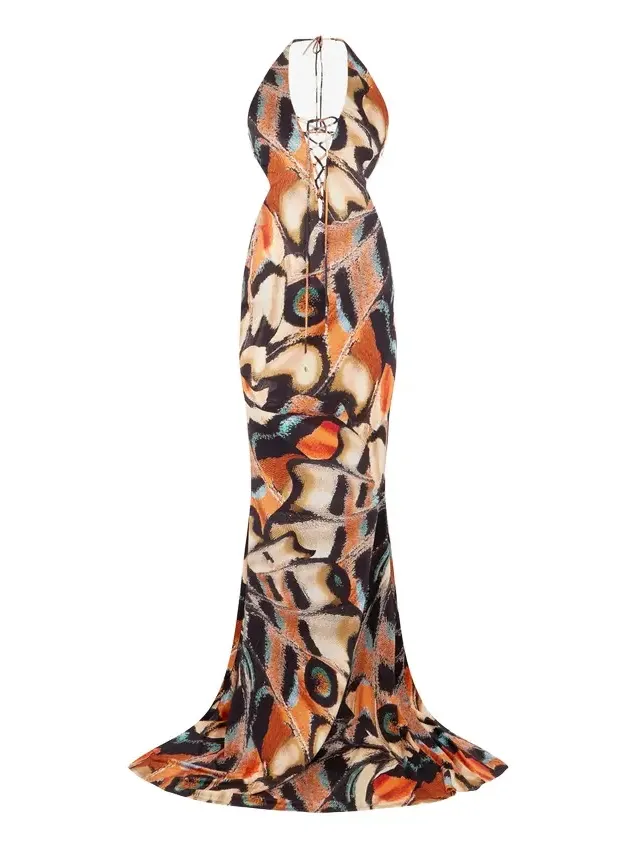 Roberto Cavalli Butterfly Print Dress