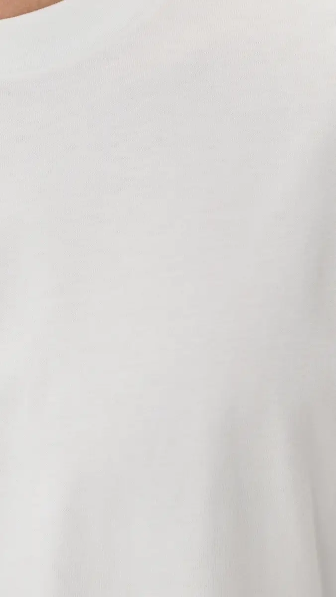 Madewell The Vintage Tee | Thumbnail 6