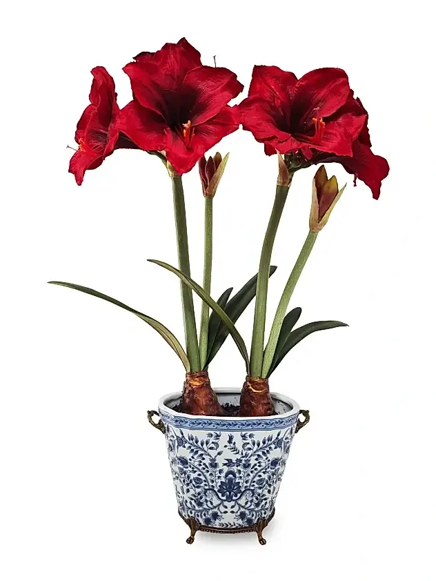 Winward Home Artificial Amaryllis In Ceramic Vessel