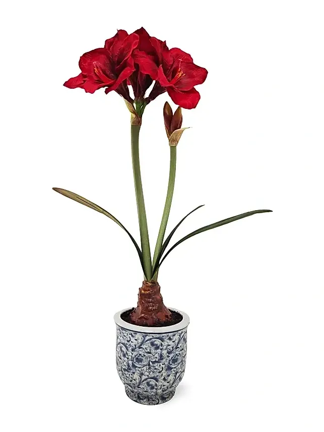 Winward Home Artificial Amaryllis In Ceramic Pot