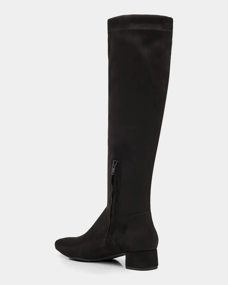 PEDRO GARCIA Eneida Suede Knee-High Boots | Thumbnail 3 PEDRO GARCIA Eneida Suede Knee-High Boots | Thumbnail 3