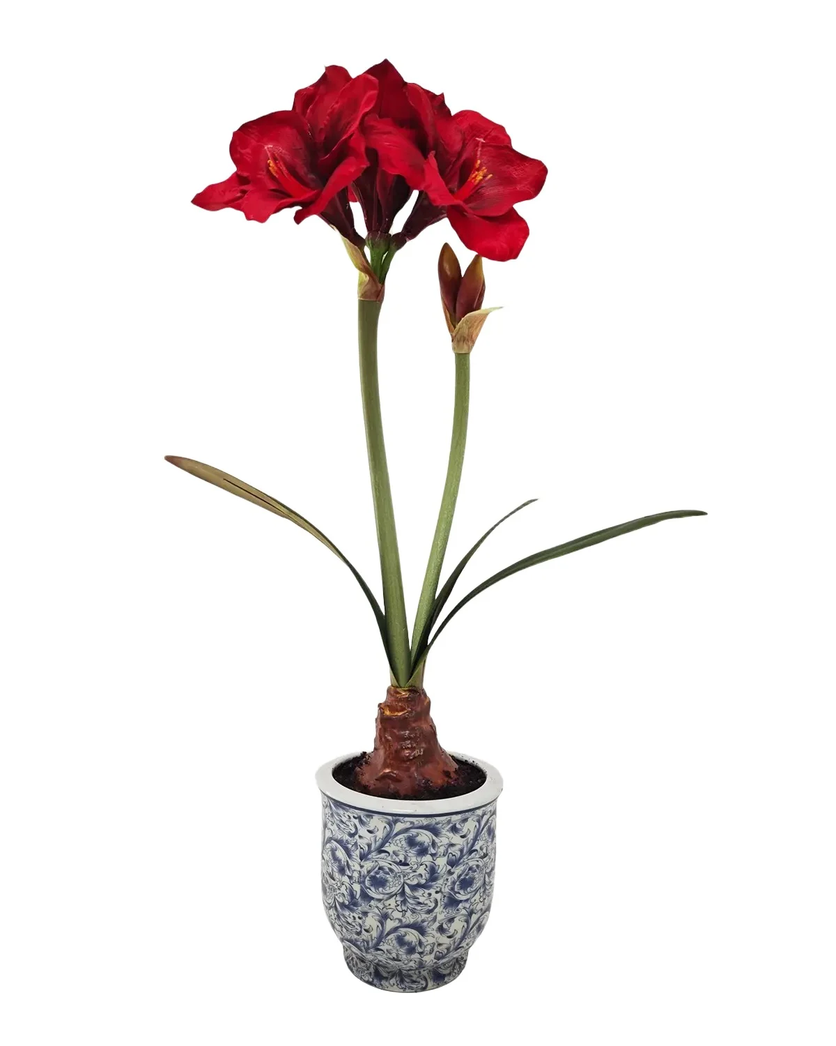 Winward Home Artificial Amaryllis Ceramic Pot