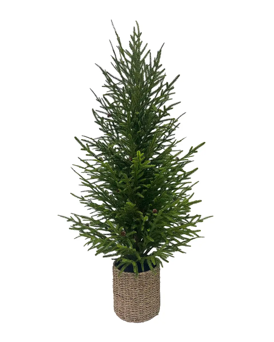 Winward Home Artificial Basket Christman Norfolk Tree | Thumbnail 2 Winward Home Artificial Basket Christman Norfolk Tree | Thumbnail 2