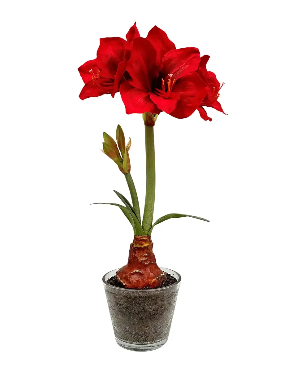 Winward Home Holiday Newness Faux Amaryllis Floral Arrangement | Thumbnail 2 Winward Home Holiday Newness Faux Amaryllis Floral Arrangement | Thumbnail 2