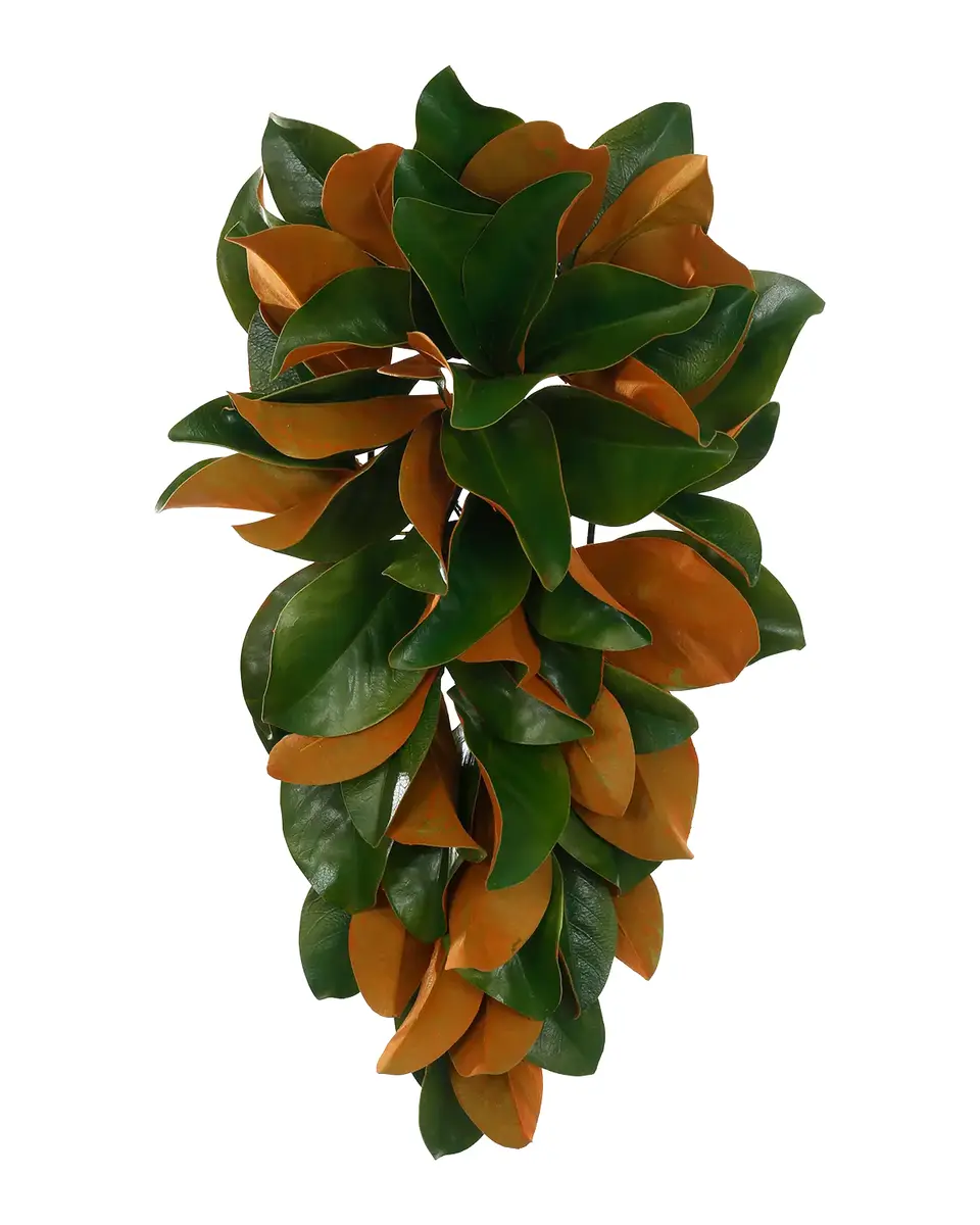 Winward Home Permanent Botanicals Magnolia Teardrop Floral Arrangement | Thumbnail 2 Winward Home Permanent Botanicals Magnolia Teardrop Floral Arrangement | Thumbnail 2