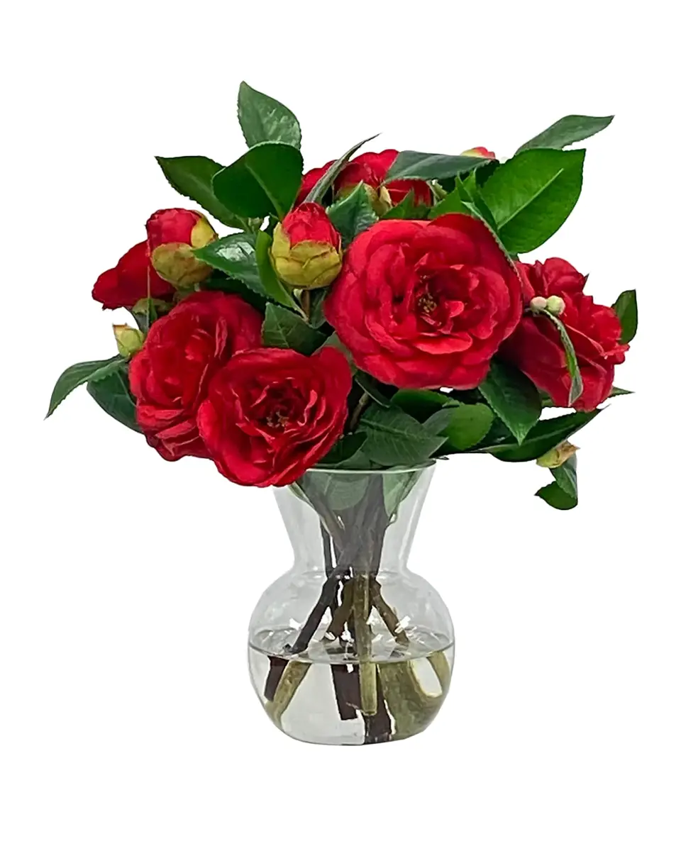 Winward Home Camellia 14" Faux Floral Arrangement in Glass Vase | Thumbnail 2 Winward Home Camellia 14" Faux Floral Arrangement in Glass Vase | Thumbnail 2
