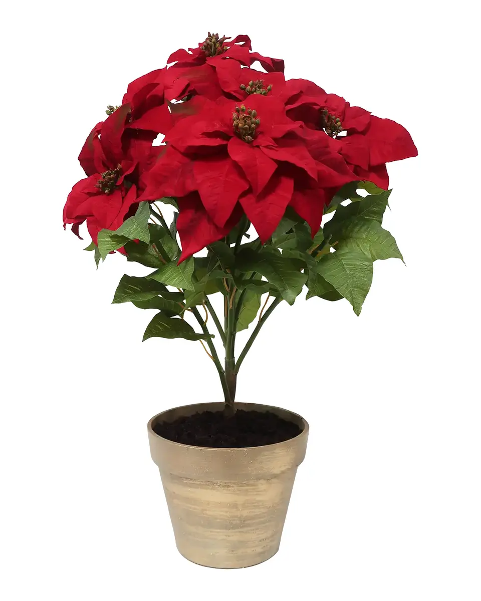 Winward Home Holiday Newness Potted Faux-Poinsettia Branch | Thumbnail 2 Winward Home Holiday Newness Potted Faux-Poinsettia Branch | Thumbnail 2