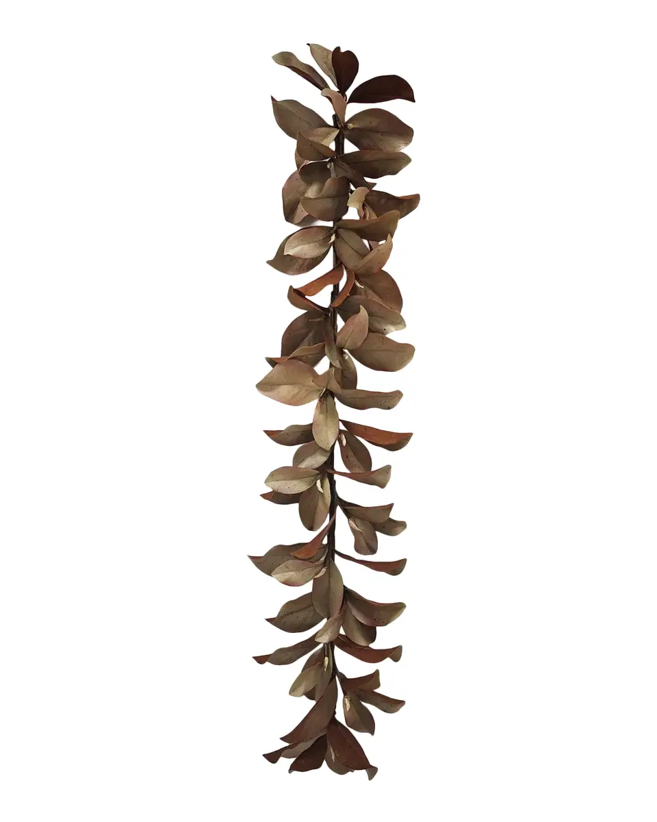 Winward Home Artificial Dry Magnolia Leaf Garland | Thumbnail 2 Winward Home Artificial Dry Magnolia Leaf Garland | Thumbnail 2