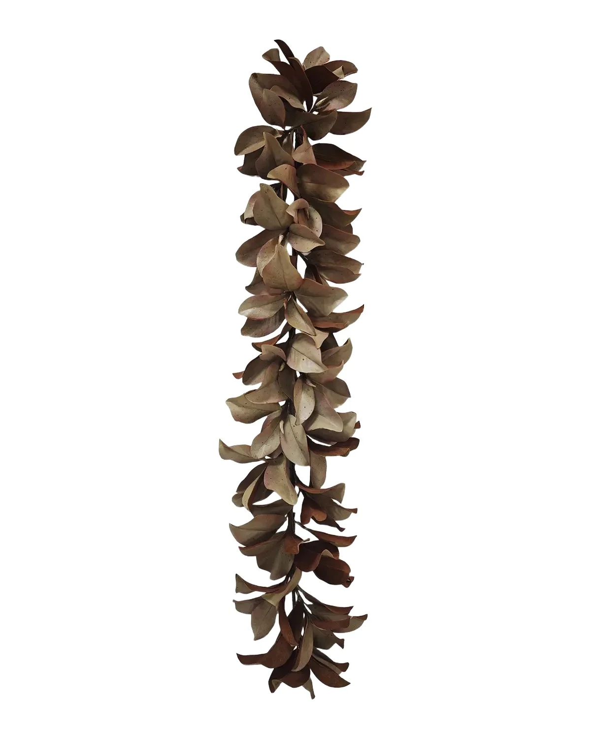 Winward Home Holiday Newness Faux-Dry Magnolia Leaf Garland