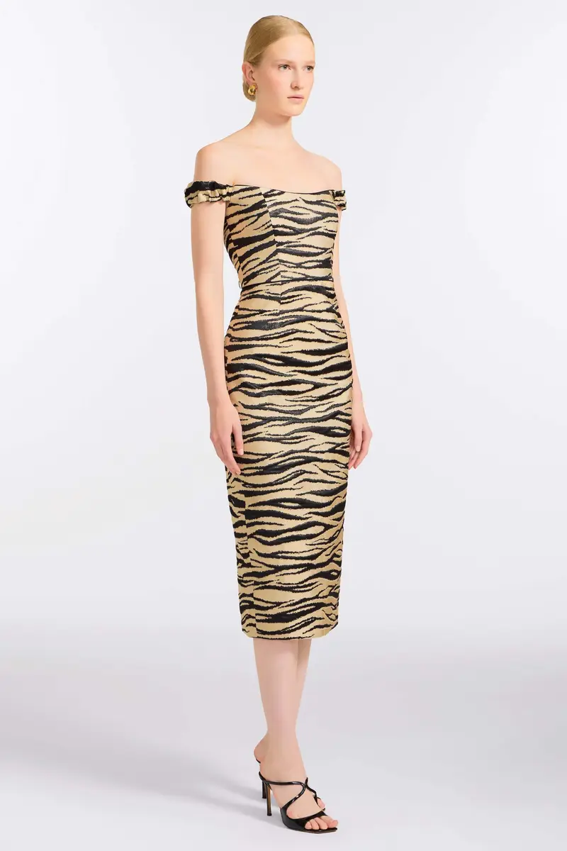 Markarian Amina Zebra-Striped Midi Dress | Thumbnail 3 Markarian Amina Zebra-Striped Midi Dress | Thumbnail 3