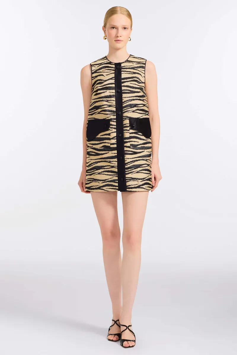 Markarian Pearsei Zebra-Striped Mini Dress | Thumbnail 2 Markarian Pearsei Zebra-Striped Mini Dress | Thumbnail 2