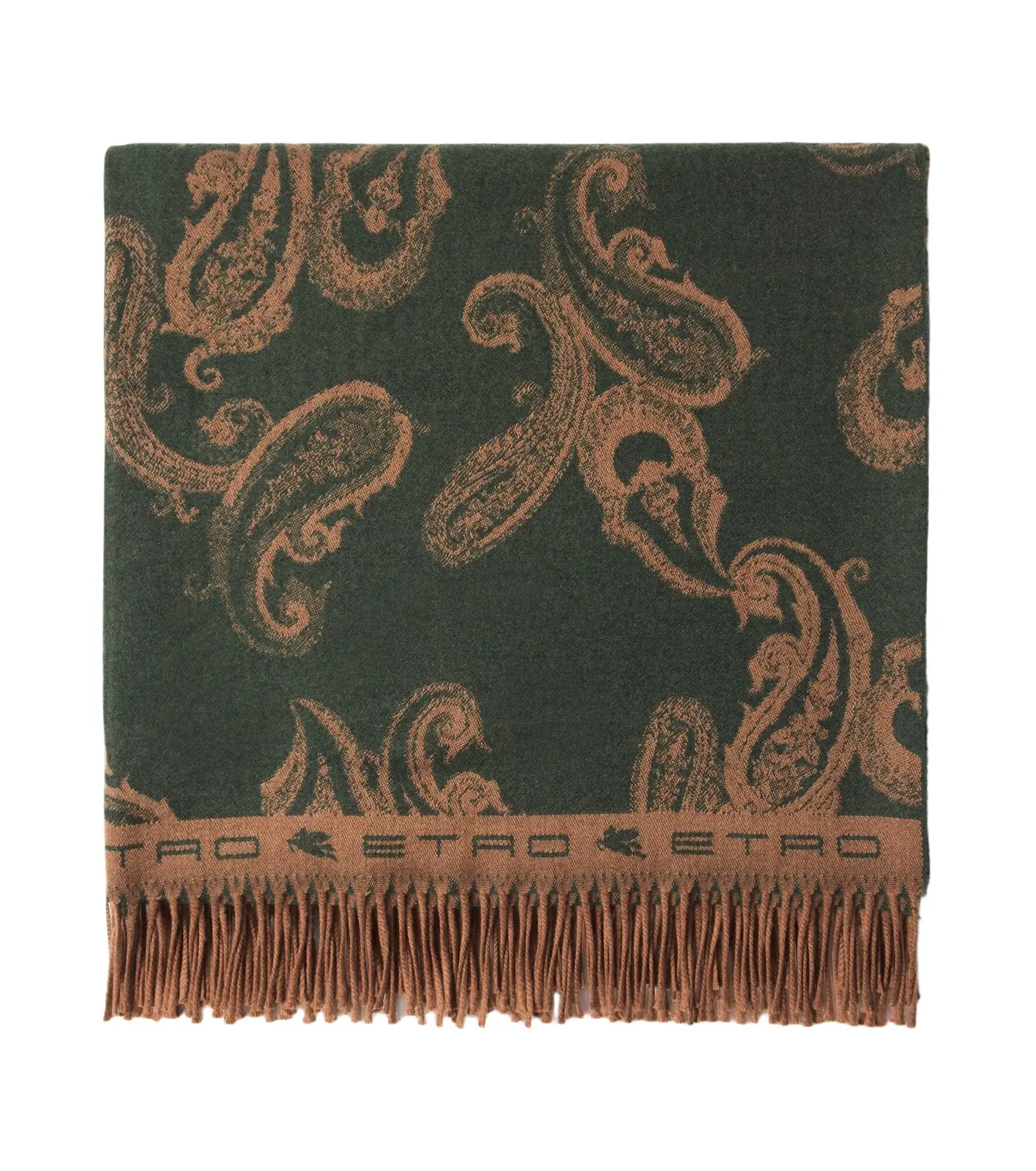 Etro Azuki fringed paisley wool throw