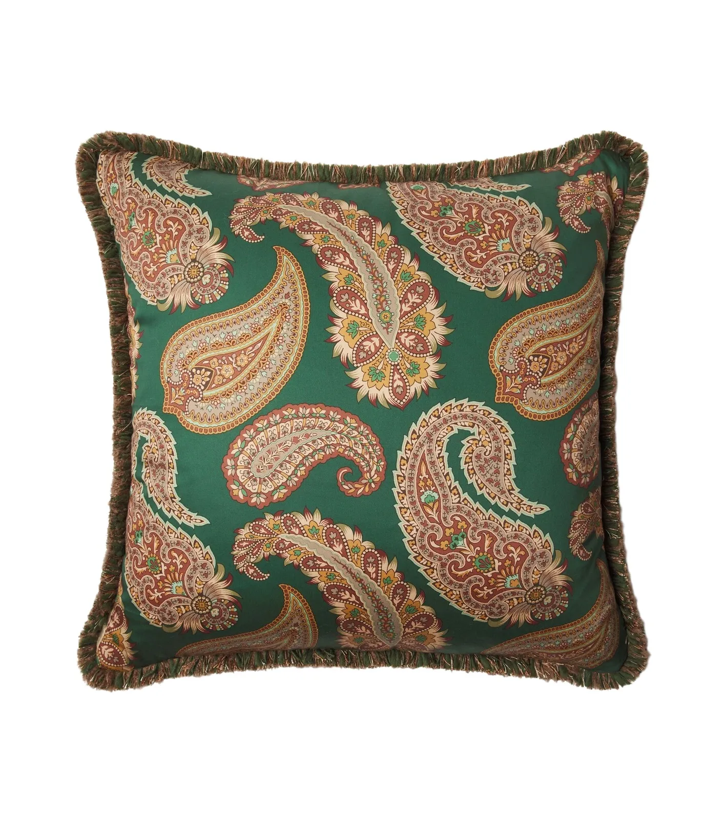 Etro Paisley cotton cushion