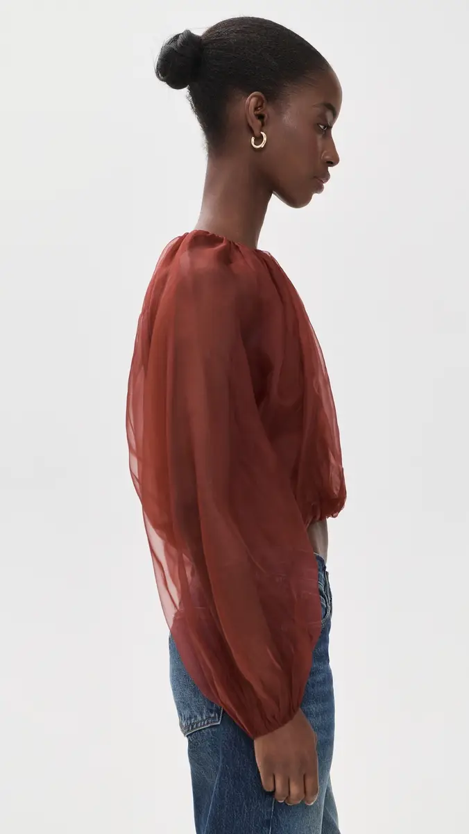 Frame The Sheer Balloon Blouse | Thumbnail 4 Frame The Sheer Balloon Blouse | Thumbnail 4