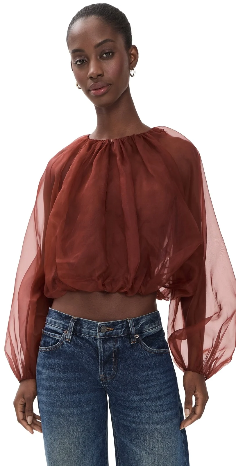 Frame The Sheer Balloon Blouse