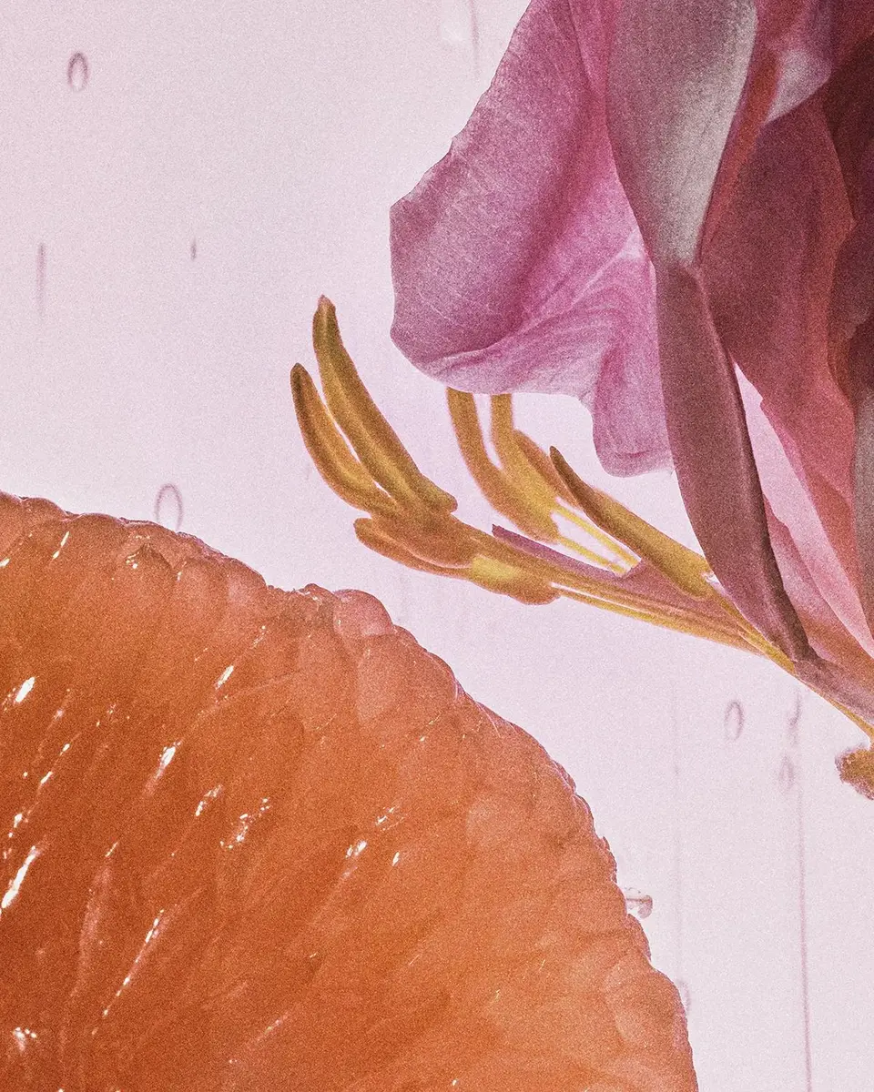 Loewe Rosetopia Eau De Parfum | Thumbnail 4