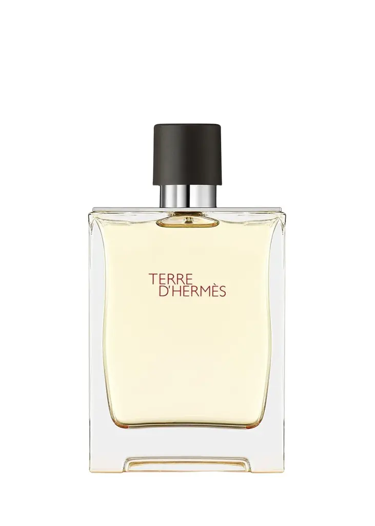 HERMÈS Terre d'Hermes Eau de Toilette