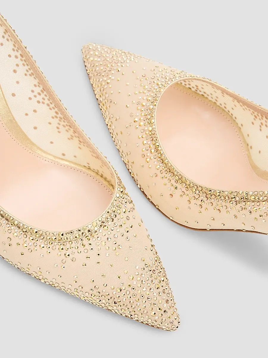Gianvito Rossi Women's Rania 85MM Embellished Mesh & Suede Pumps - Menu Mekong Beige | Thumbnail 5
