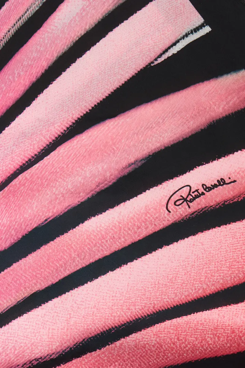 Roberto Cavalli Ray Of Paradise Print Silk Stole | Thumbnail 2