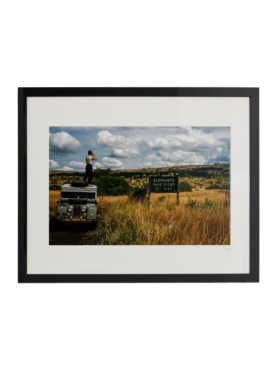 Sonic Editions Framed 1958 Elephants Right of Way Print, 50" x 40" - Men