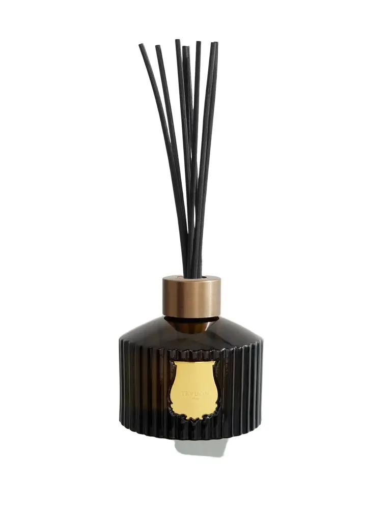 TRUDON Classic Reed Diffuser - Ernesto, 350ml - Men