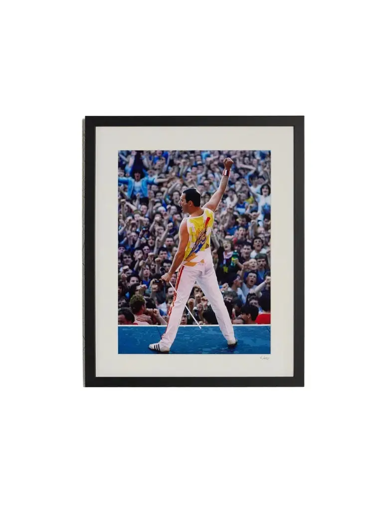 Sonic Editions Framed 1986 Freddie Mercury at Slane Castle Print, 40"x 50" - Men
