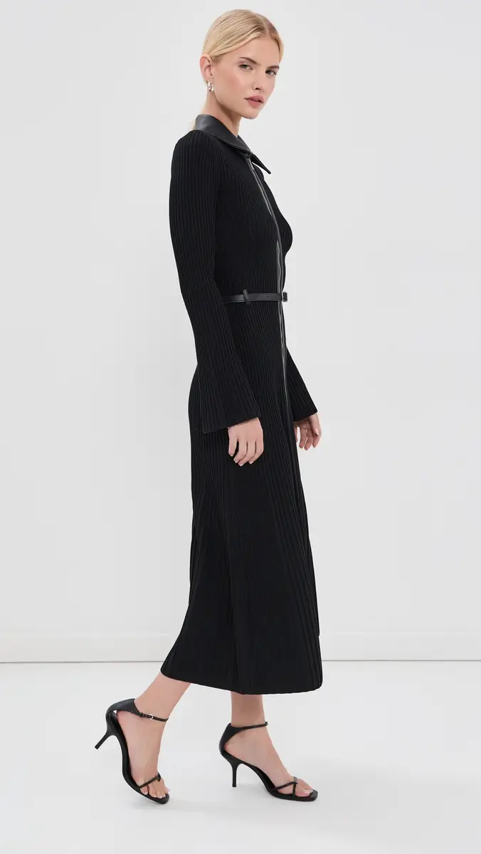 Simkhai Ismelle Collared Midi Dress | Thumbnail 4