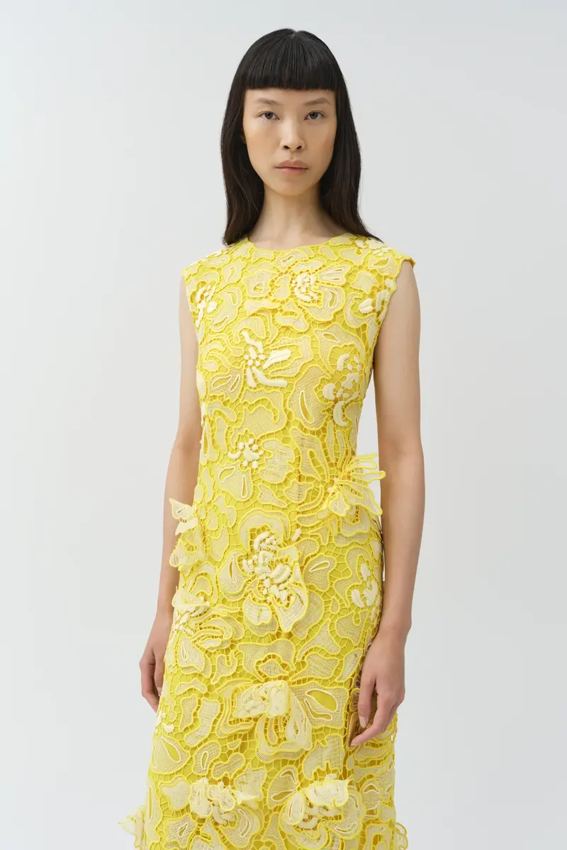 Simkhai Dahlia Lace Midi Dress | Thumbnail 3