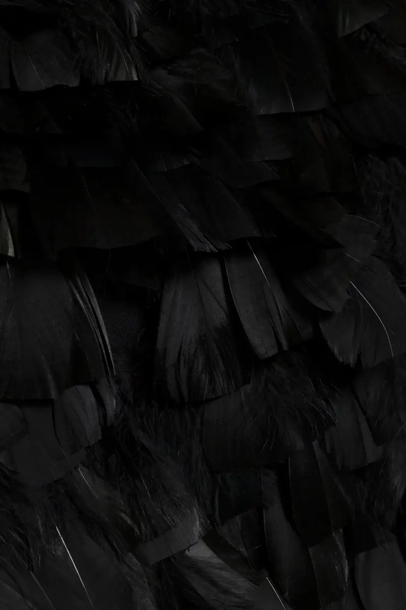 Simkhai Karlene Feather Mini Dress | Thumbnail 8 Simkhai Karlene Feather Mini Dress | Thumbnail 8