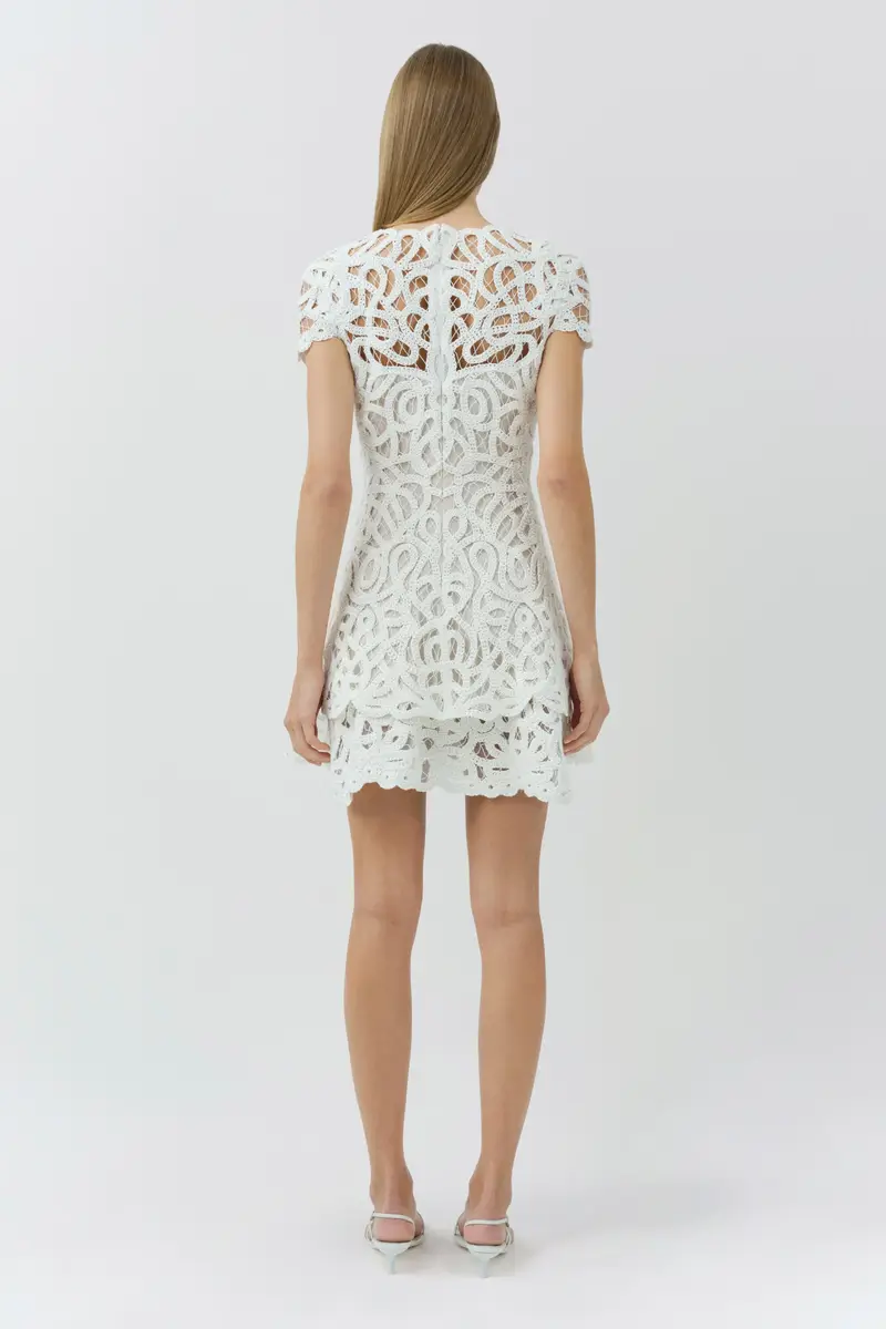 Simkhai Lina Lace Mini Dress | Thumbnail 5