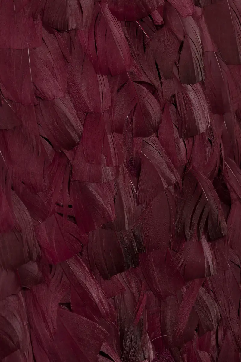 Simkhai Malvina Feather Gown | Thumbnail 6 Simkhai Malvina Feather Gown | Thumbnail 6