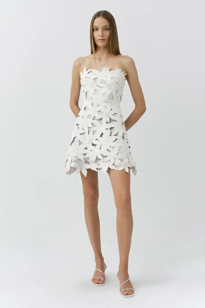 Simkhai Miri Embroidered Cotton Bustier Mini Dress | Thumbnail 2