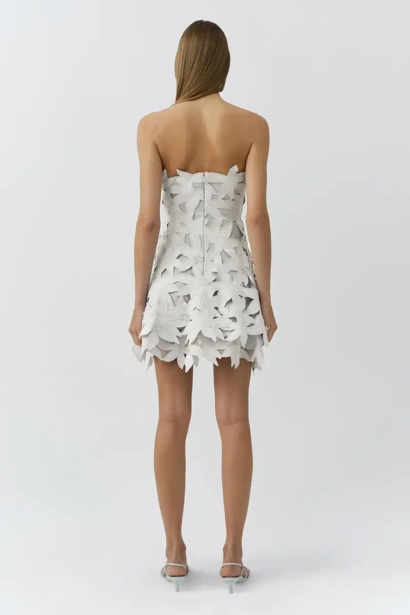 Simkhai Miri Embroidered Cotton Bustier Mini Dress | Thumbnail 5
