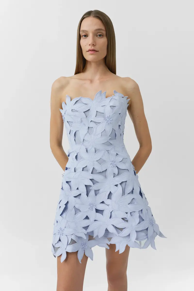 Simkhai Miri Embroidered Cotton Bustier Mini Dress | Thumbnail 4 Simkhai Miri Embroidered Cotton Bustier Mini Dress | Thumbnail 4