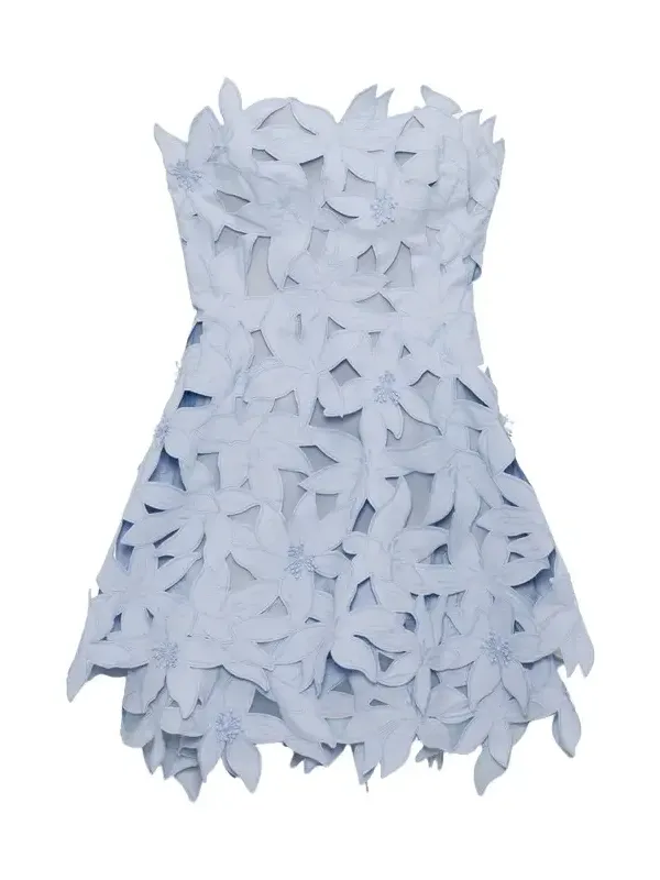 Miri Embroidered Cotton Bustier Mini Dress