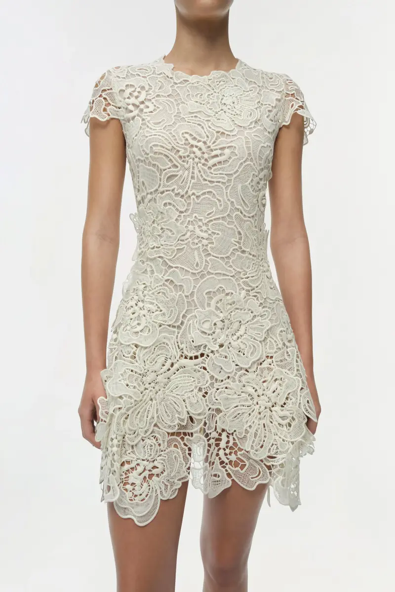 Simkhai Novelle Lace Mini Dress | Thumbnail 4 Simkhai Novelle Lace Mini Dress | Thumbnail 4