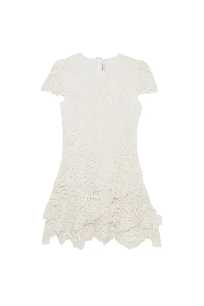 Simkhai Novelle Lace Mini Dress