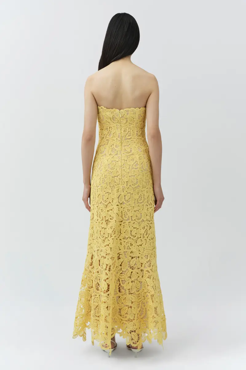 Simkhai Sera Floral Raffia Bustier Midi Dress | Thumbnail 5 Simkhai Sera Floral Raffia Bustier Midi Dress | Thumbnail 5