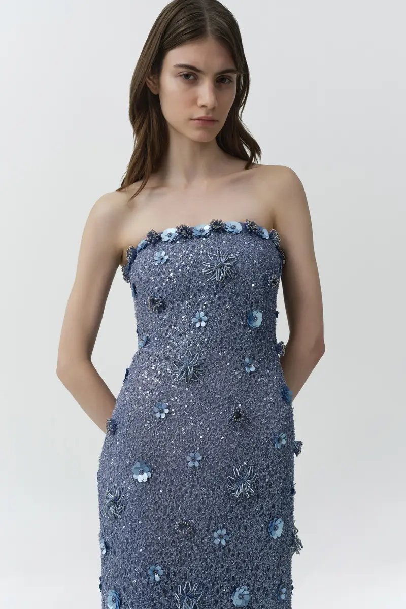 Simkhai Serafina Strapless Embellished Gown | Thumbnail 3