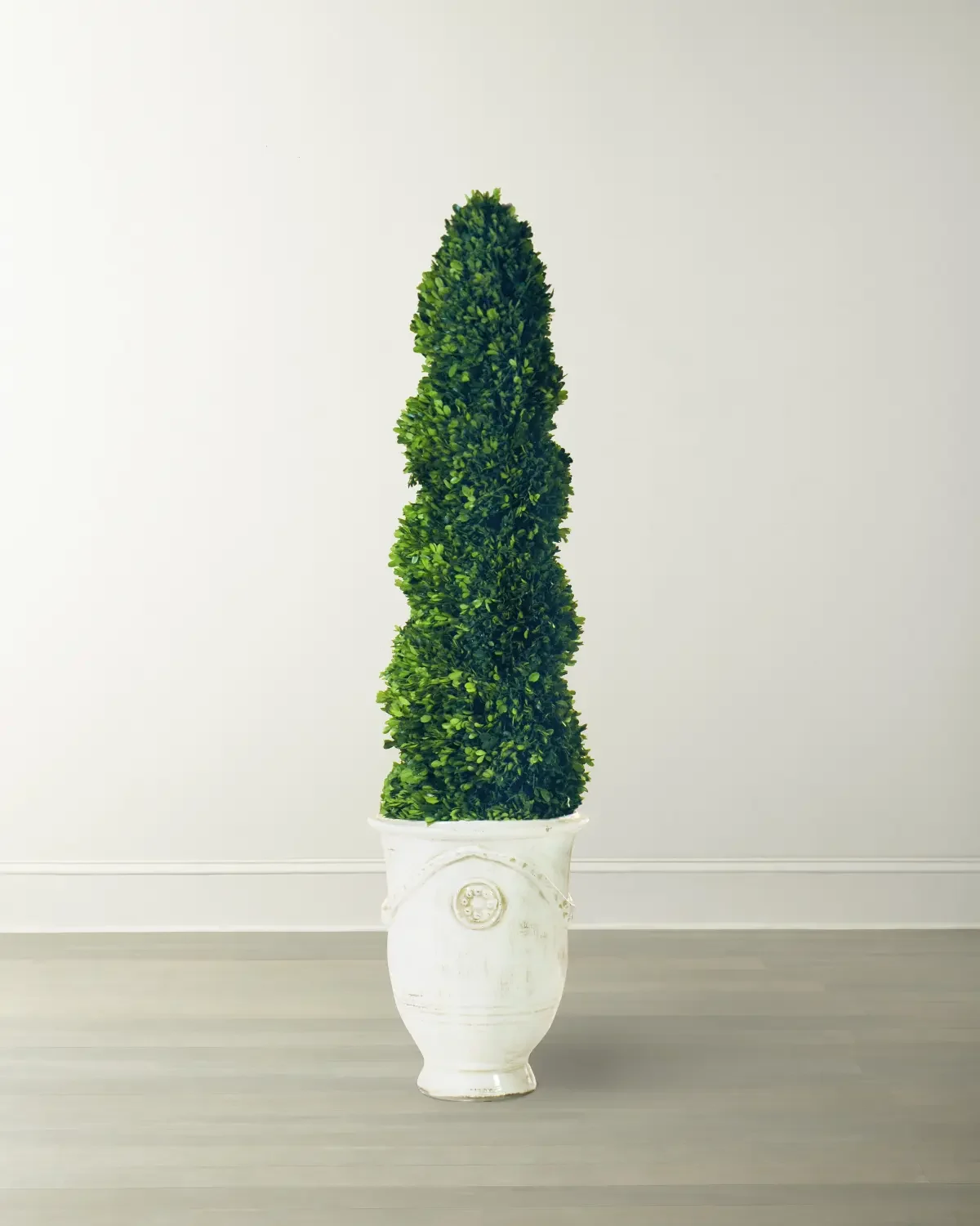 Winward Home Boxwood Spiral in Tuscan Urn