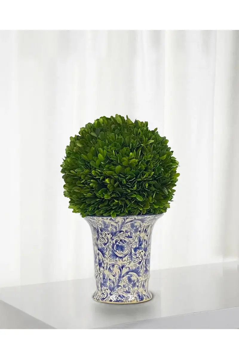 Winward Home Preserved Boxwood Ball in Porcelain Vase - 14" | Thumbnail 2 Winward Home Preserved Boxwood Ball in Porcelain Vase - 14" | Thumbnail 2