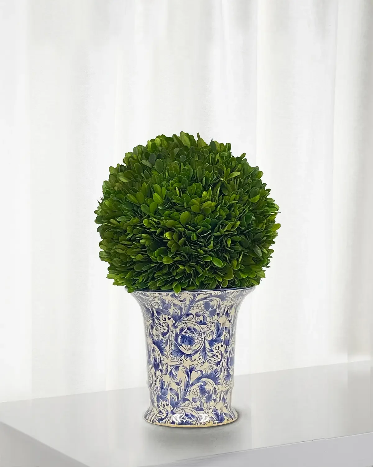 Winward Home Preserved Boxwood Ball in Porcelain Vase - 14"